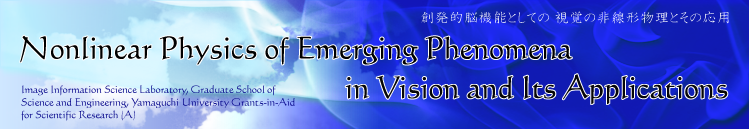Nonlinear Physics of Emerging Phenomena in Vision and Its Applications@Grants-in-Aid for Scientific Research (A)